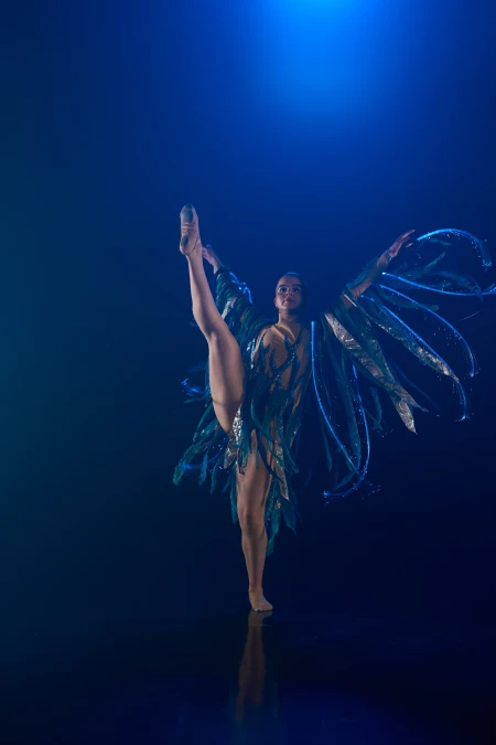 Ballet of lights